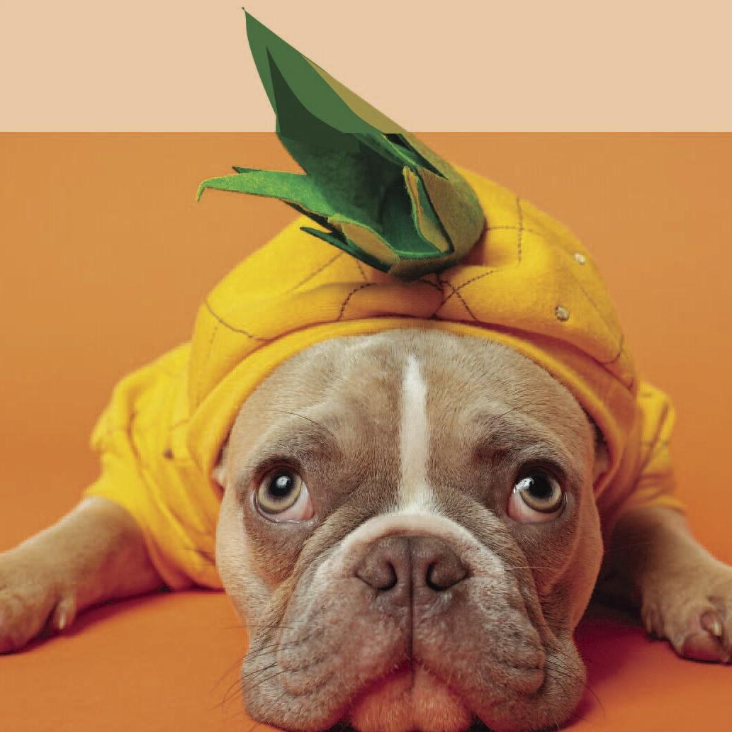 Livermore Lions Sponsor Pet Photo Contest Fundraiser